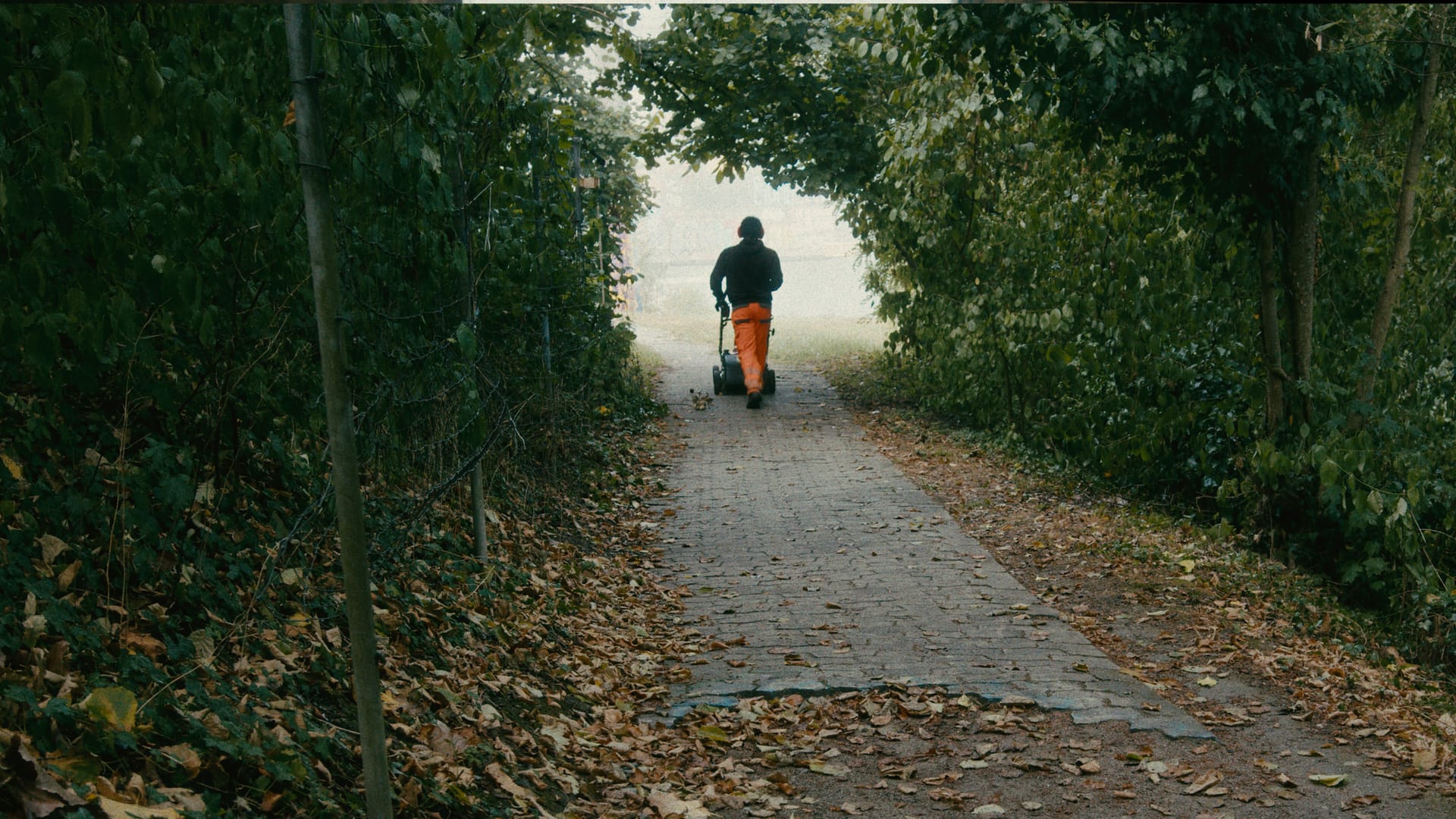 Eine Person schiebt einen orangefarbenen Behälter über einen von Hecken gesäumten Weg.